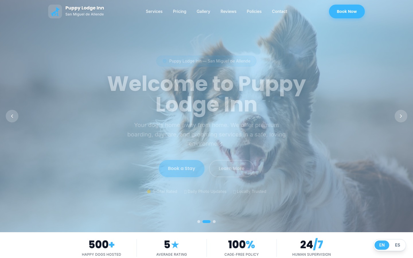 Puppy Lodge Inn website — dog boarding Dallas